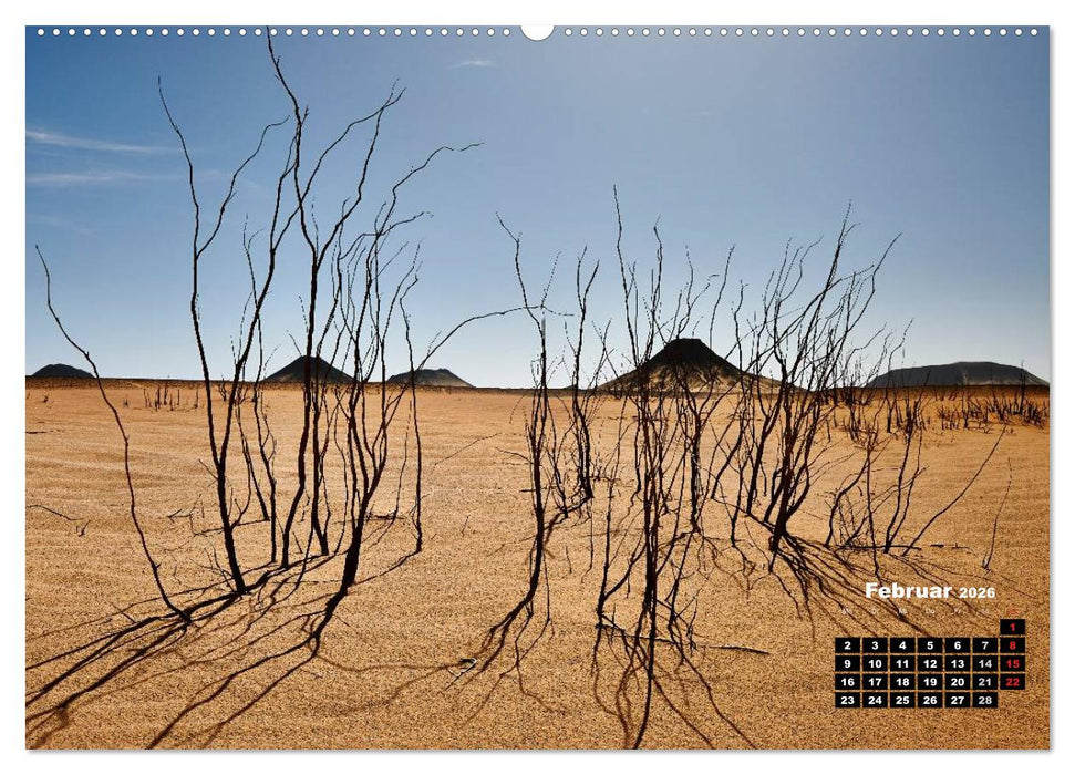 Ägypten – westliche Wüsten (CALVENDO Wandkalender 2026)