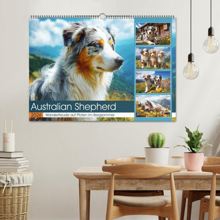 Australian Shepherd. Wanderfreude auf Pfoten im Bergsommer (CALVENDO Wandkalender 2026)