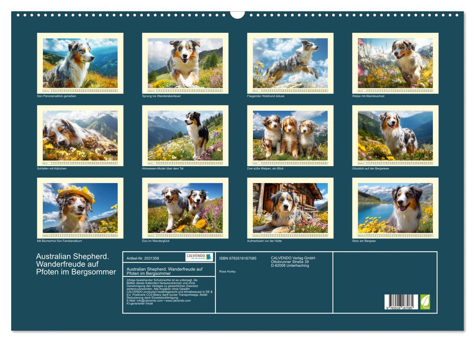 Australian Shepherd. Wanderfreude auf Pfoten im Bergsommer (CALVENDO Wandkalender 2026)