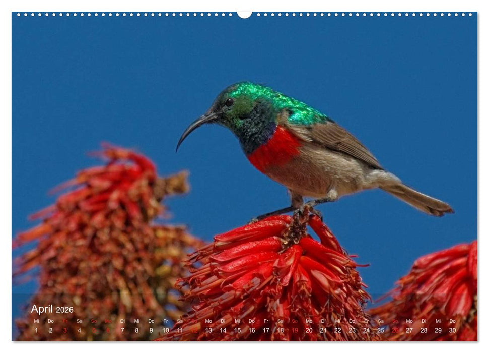 Zimbabwe (CALVENDO Premium Wandkalender 2026)