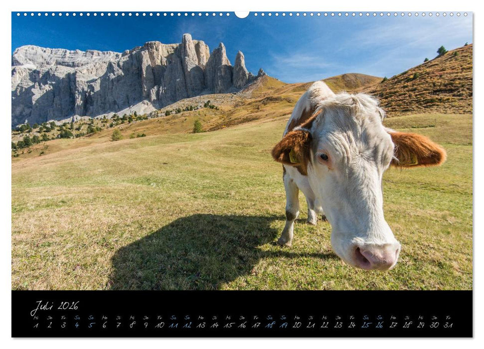 Dolomiten (CALVENDO Premium Wandkalender 2026)