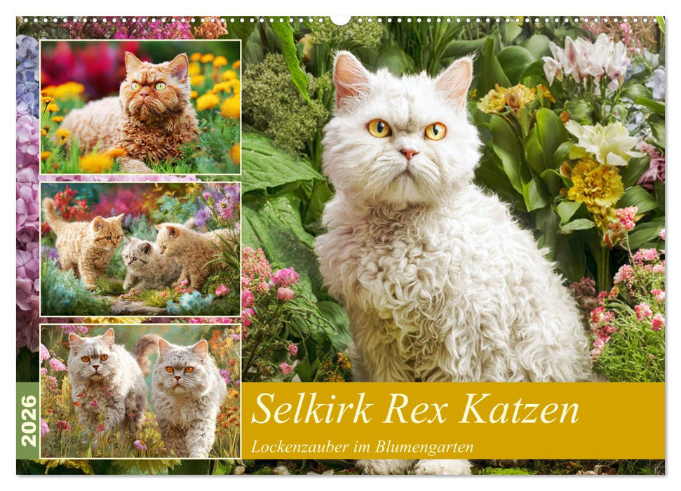 Selkirk Rex Katzen. Lockenzauber im Blumengarten (CALVENDO Wandkalender 2026)