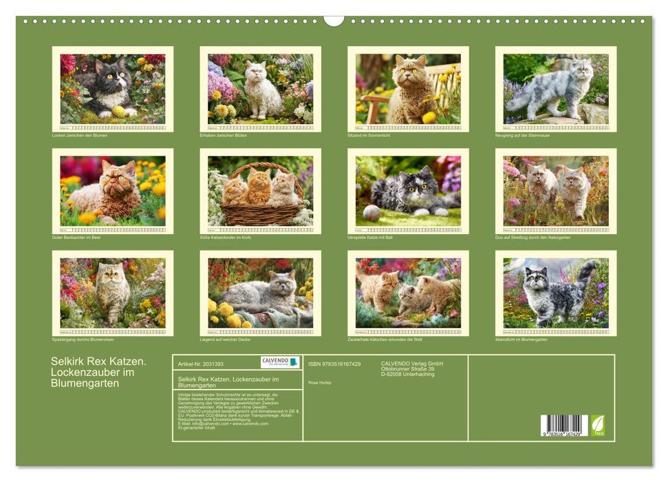 Selkirk Rex Katzen. Lockenzauber im Blumengarten (CALVENDO Wandkalender 2026)
