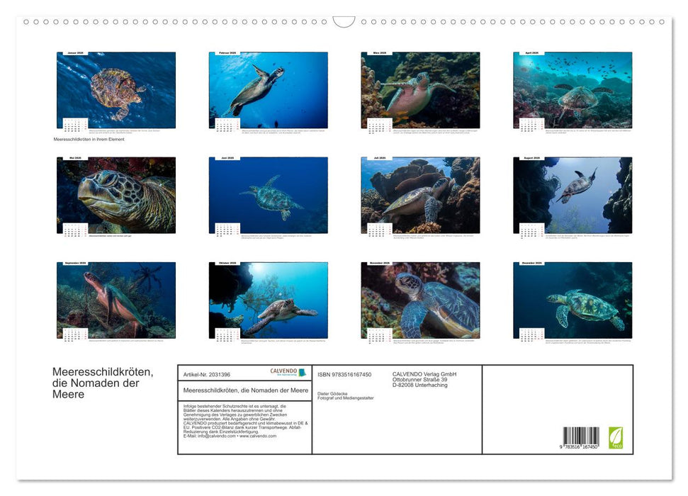 Meeresschildkröten, die Nomaden der Meere (CALVENDO Wandkalender 2026)