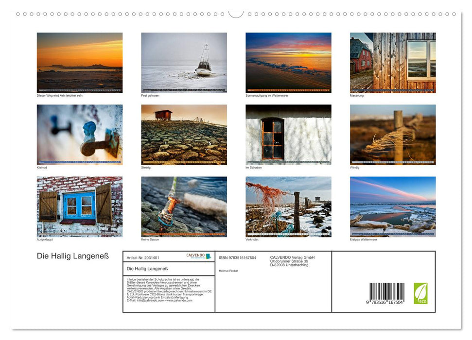 Die Hallig Langeneß (CALVENDO Premium Wandkalender 2026)
