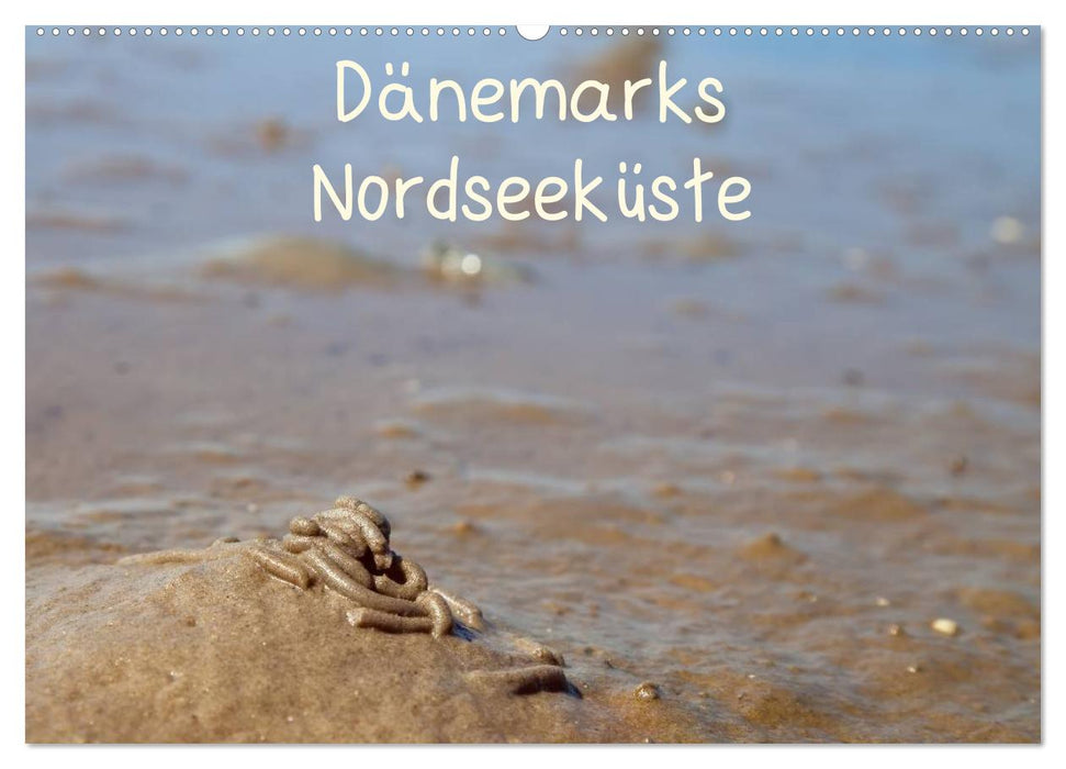 Dänemarks Nordseeküste (CALVENDO Wandkalender 2026)