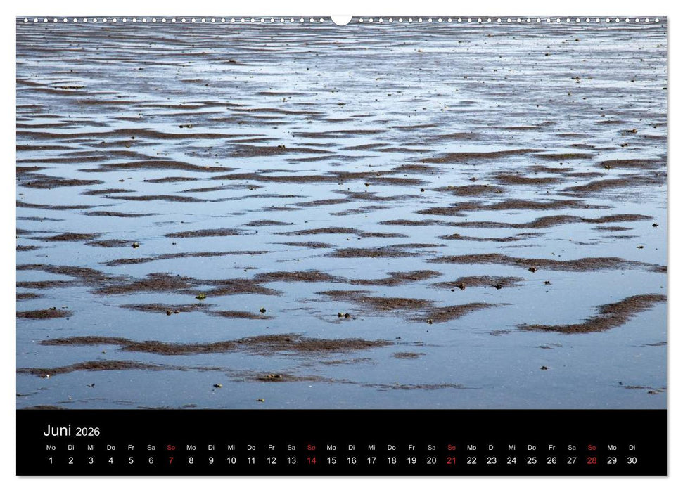 Dänemarks Nordseeküste (CALVENDO Wandkalender 2026)