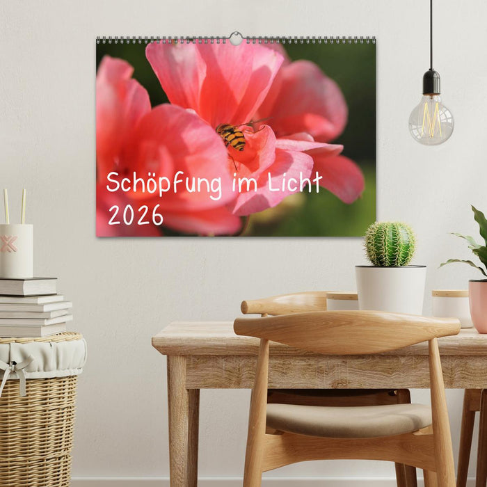 Schöpfung im Licht (CALVENDO Wandkalender 2026)
