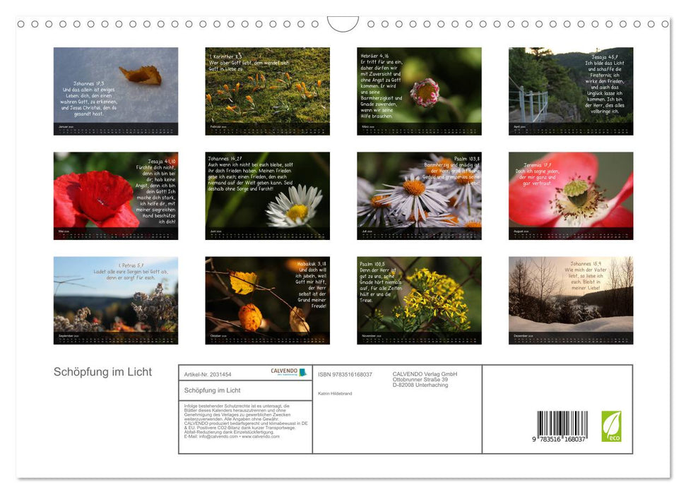 Schöpfung im Licht (CALVENDO Wandkalender 2026)
