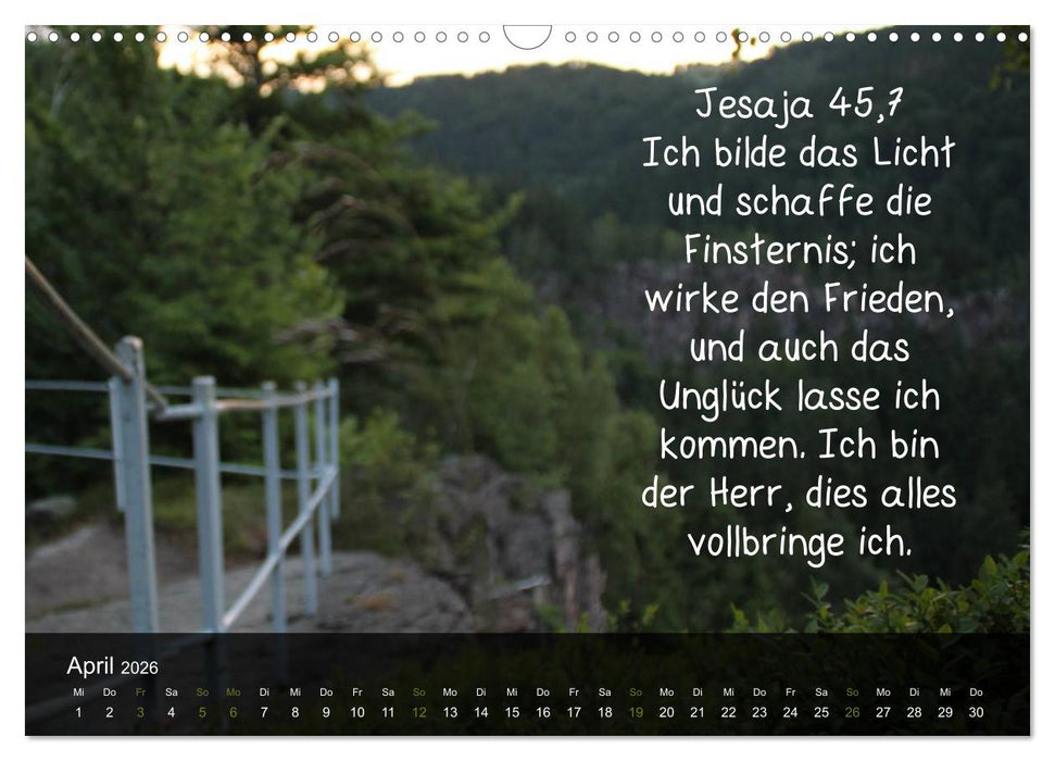 Schöpfung im Licht (CALVENDO Wandkalender 2026)