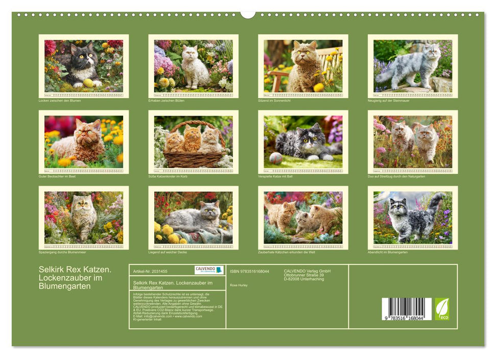 Selkirk Rex Katzen. Lockenzauber im Blumengarten (CALVENDO Premium Wandkalender 2026)
