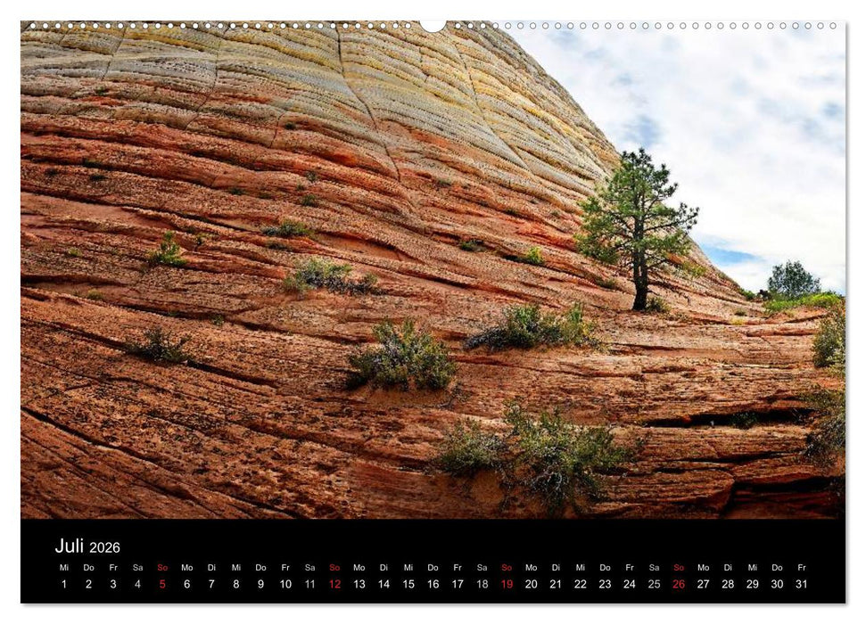 USA Süd-West (CALVENDO Premium Wandkalender 2026)