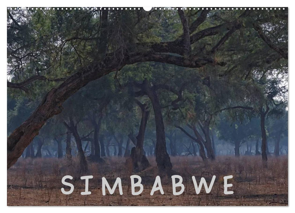 Zimbabwe (CALVENDO Wandkalender 2026)