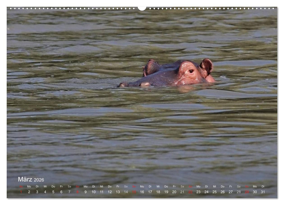 Zimbabwe (CALVENDO Wandkalender 2026)