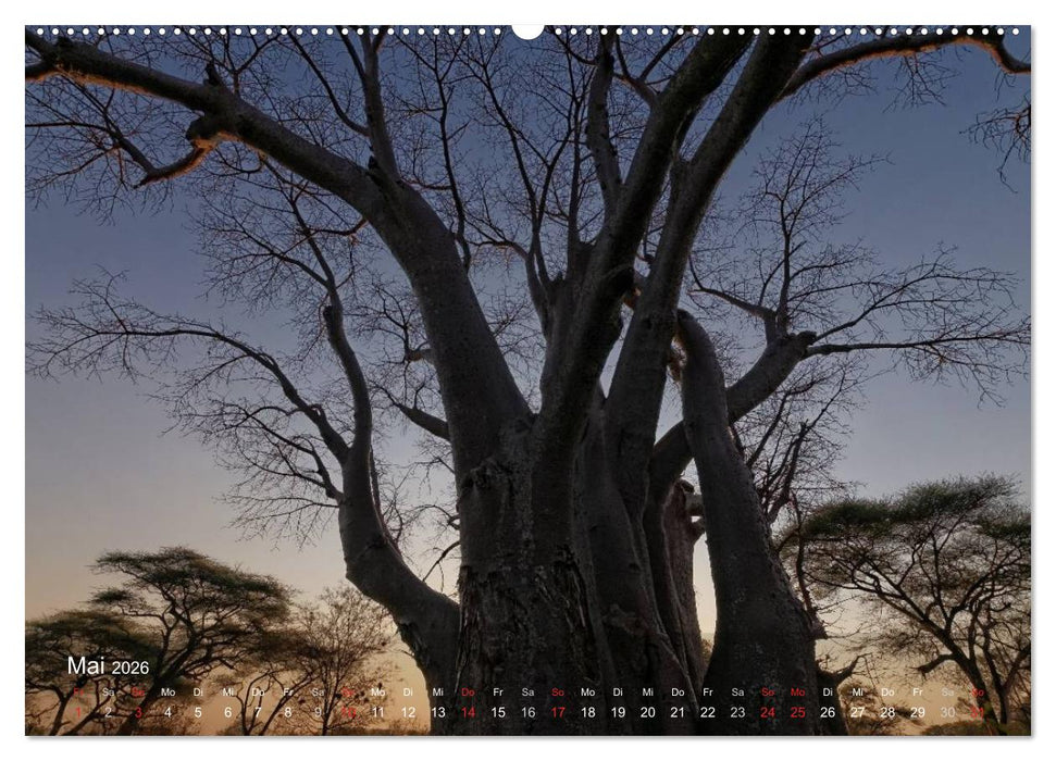 Zimbabwe (CALVENDO Wandkalender 2026)