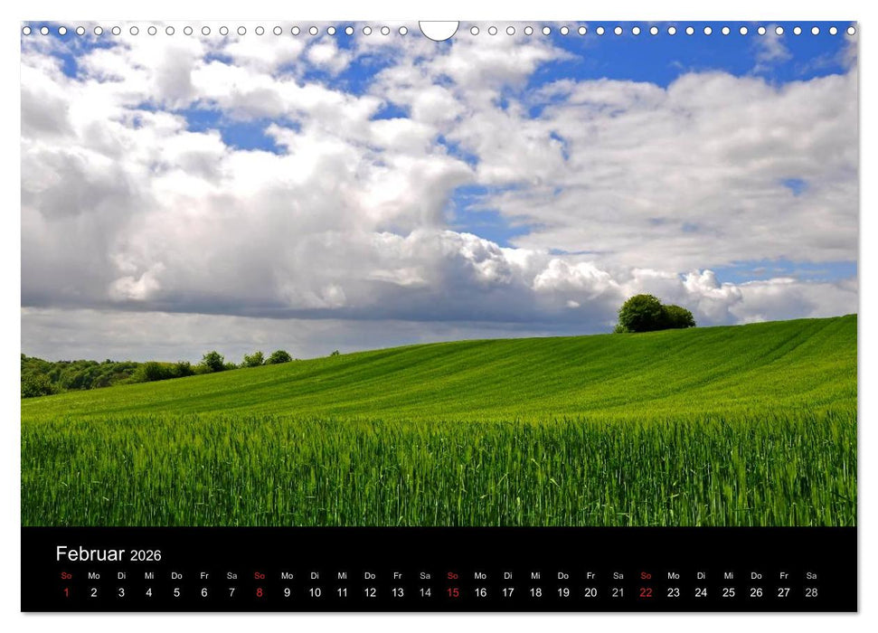 Plön - die Stadt am See (CALVENDO Wandkalender 2026)