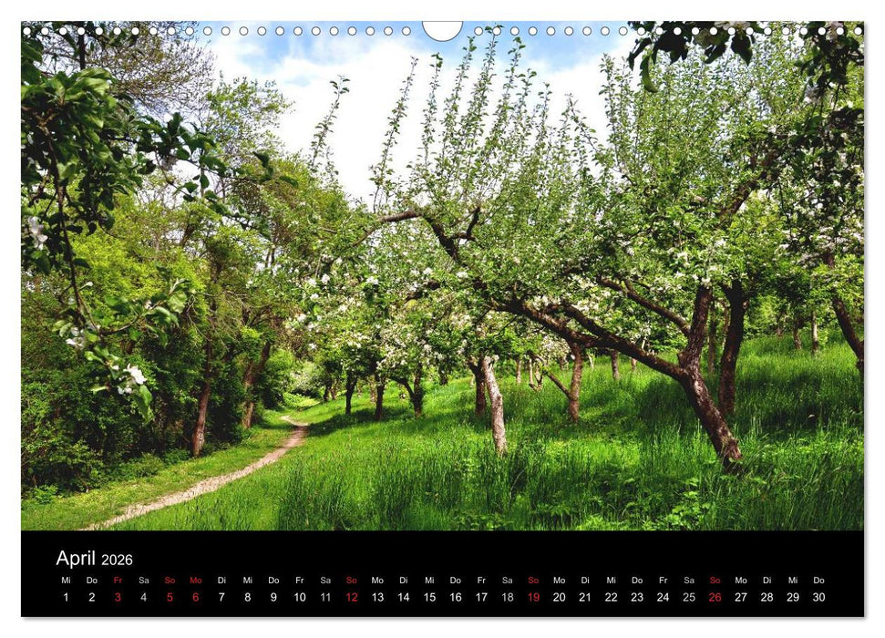 Plön - die Stadt am See (CALVENDO Wandkalender 2026)