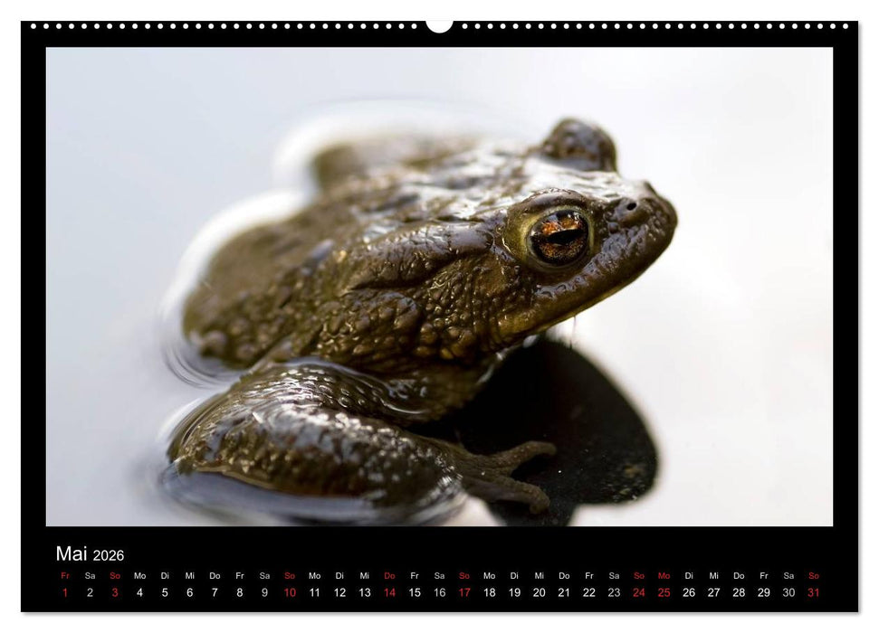 Natur erleben... (CALVENDO Premium Wandkalender 2026)