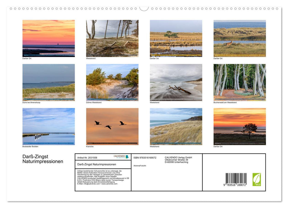 Darß-Zingst Naturimpressionen (CALVENDO Premium Wandkalender 2026)