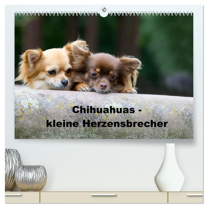 Chihuahuas - kleine Herzensbrecher (CALVENDO Premium Wandkalender 2026)