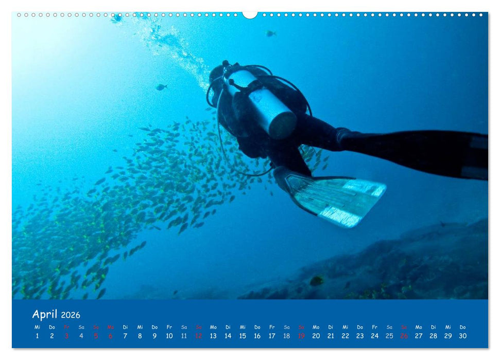 Unterwasserwelten (CALVENDO Premium Wandkalender 2026)