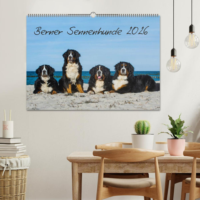 Berner Sennenhund 2026 (CALVENDO Wandkalender 2026)