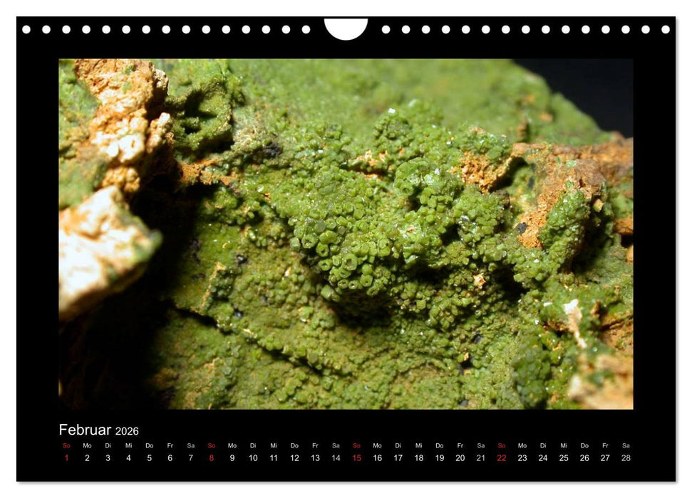 Mineralien aus dem Sauerland (CALVENDO Wandkalender 2026)