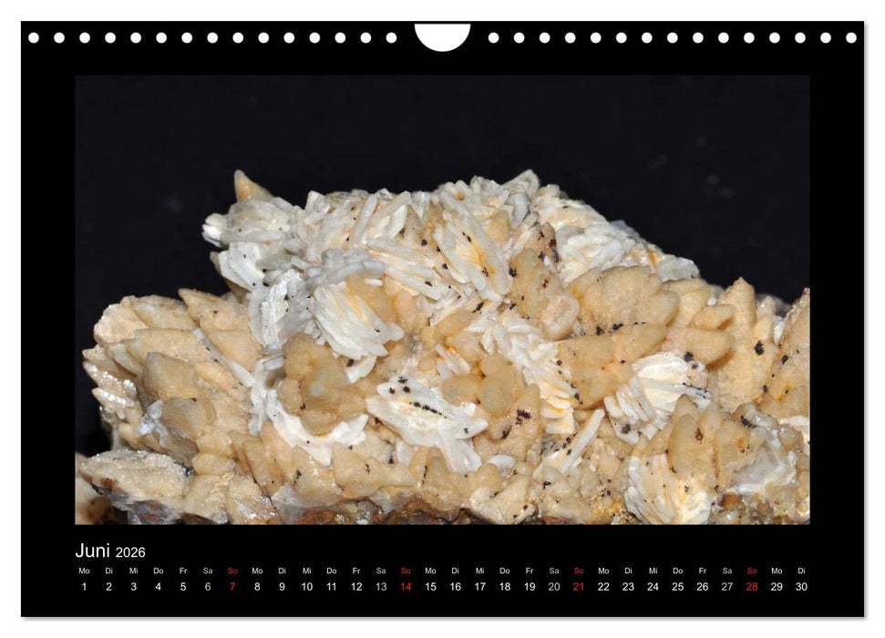 Mineralien aus dem Sauerland (CALVENDO Wandkalender 2026)