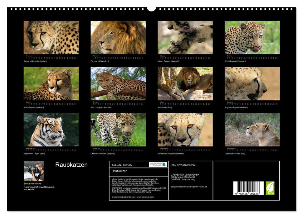 Raubkatzen (CALVENDO Premium Wandkalender 2026)