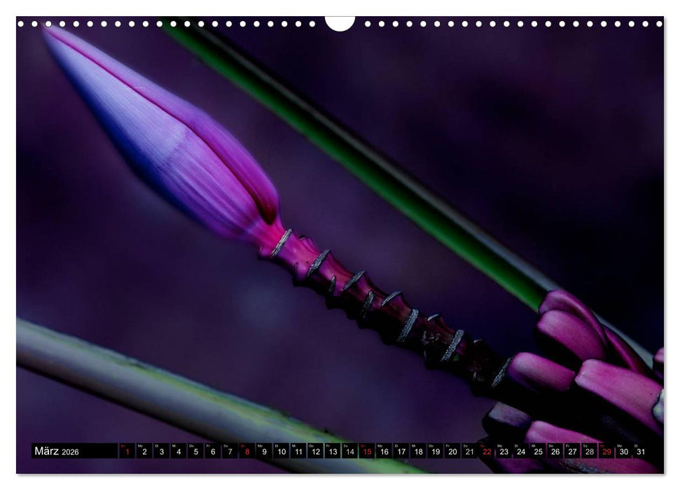 Flowers / 2026 (CALVENDO Wandkalender 2026)
