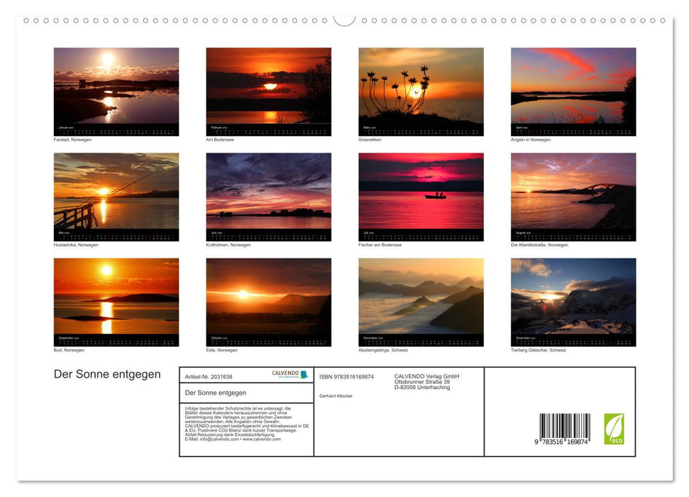 Der Sonne entgegen (CALVENDO Premium Wandkalender 2026)