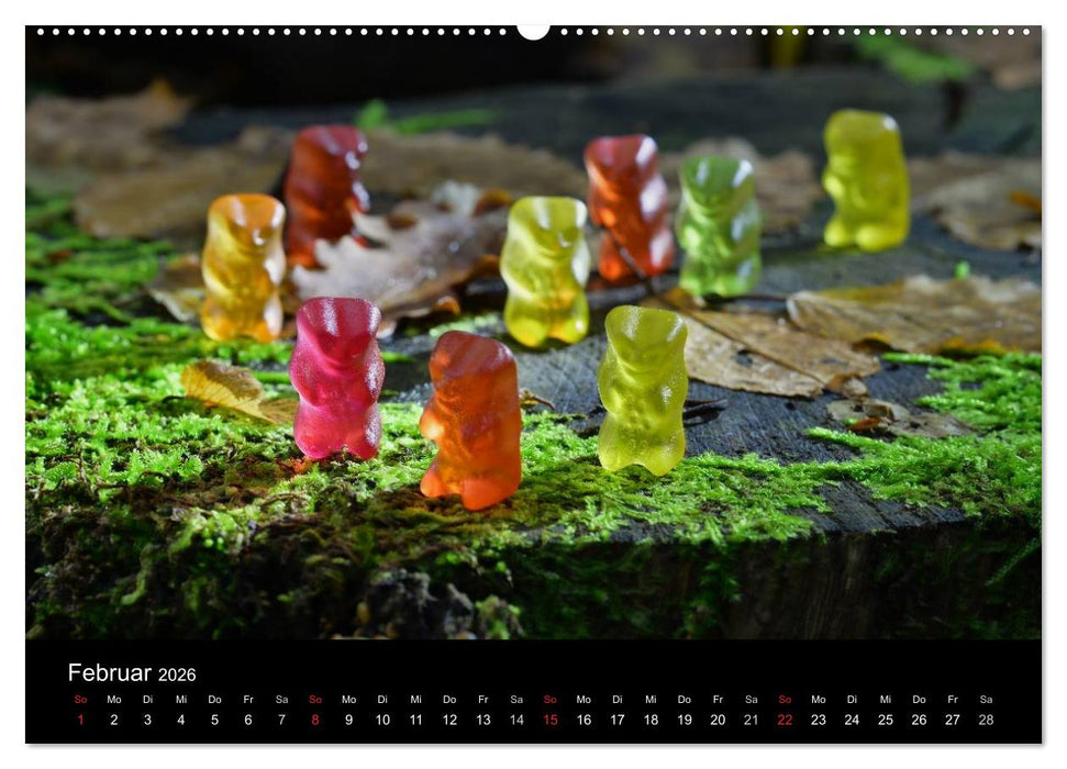 Die Welt der Fruchtgummis (CALVENDO Premium Wandkalender 2026)