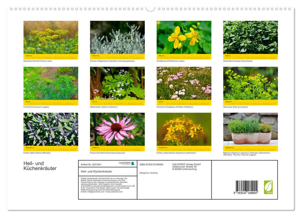 Heil- und Küchenkräuter (CALVENDO Premium Wandkalender 2026)