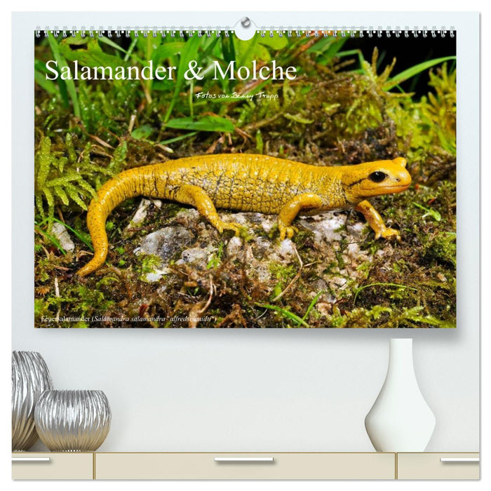 Salamander und Molche (CALVENDO Premium Wandkalender 2026)
