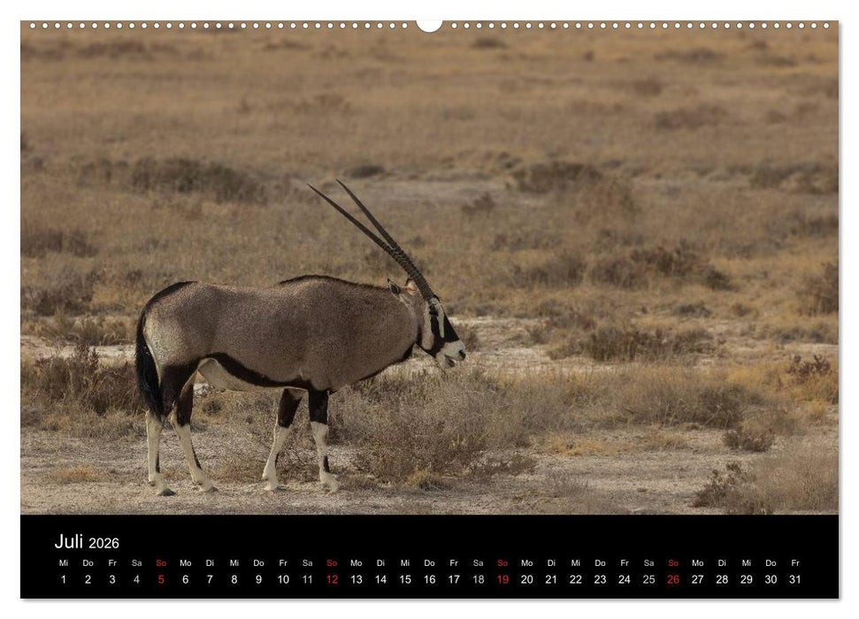 Wunderschönes Namibia (CALVENDO Premium Wandkalender 2026)