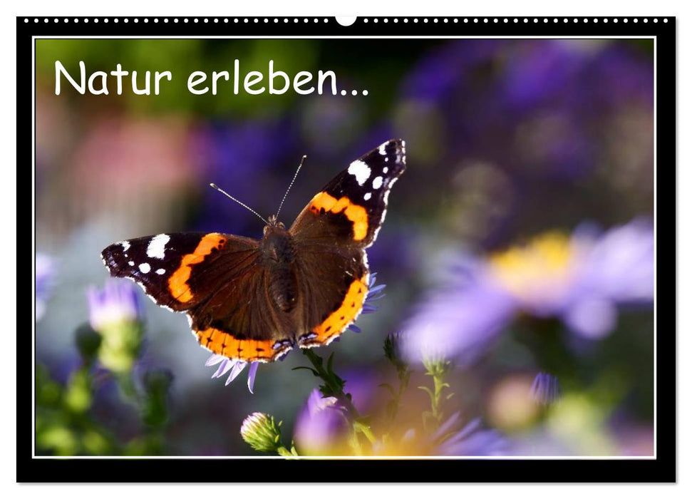 Natur erleben... (CALVENDO Wandkalender 2026)