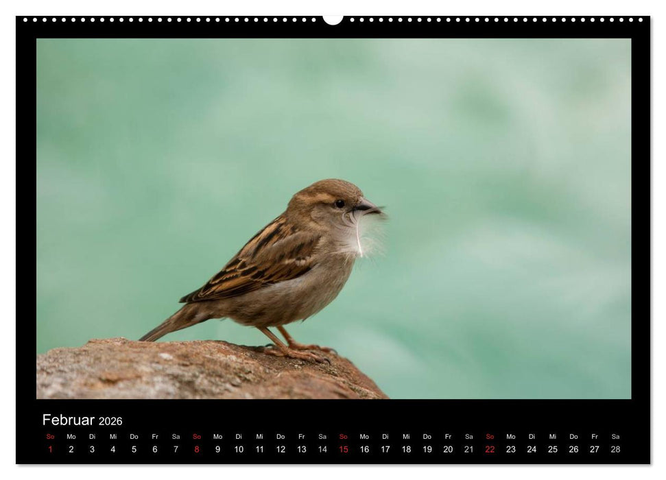 Natur erleben... (CALVENDO Wandkalender 2026)