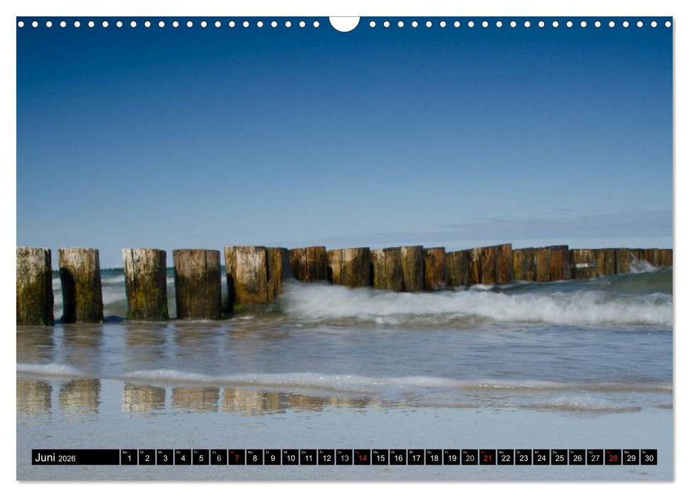 Binz Zingst 2026 (CALVENDO Wandkalender 2026)