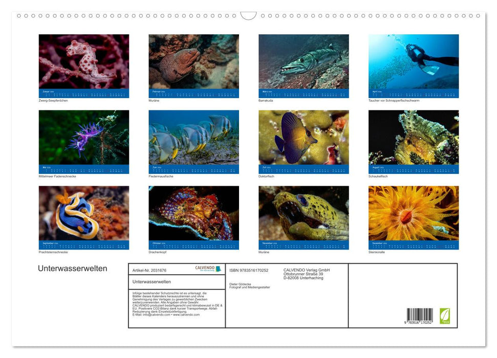 Unterwasserwelten (CALVENDO Wandkalender 2026)