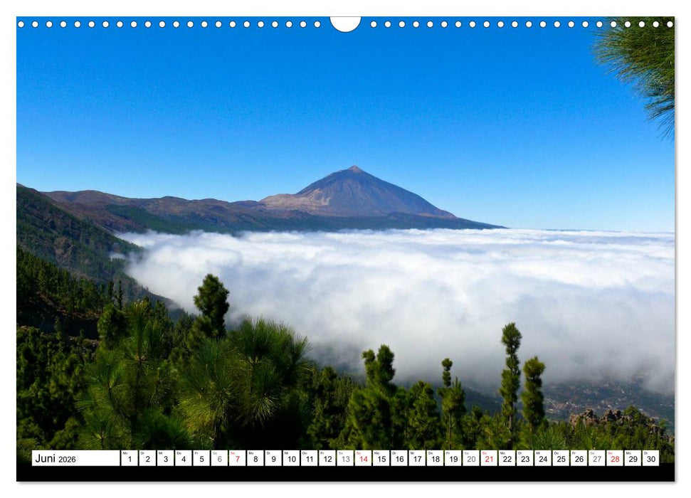 Teneriffa - Insel der Vielfältigkeit (CALVENDO Wandkalender 2026)