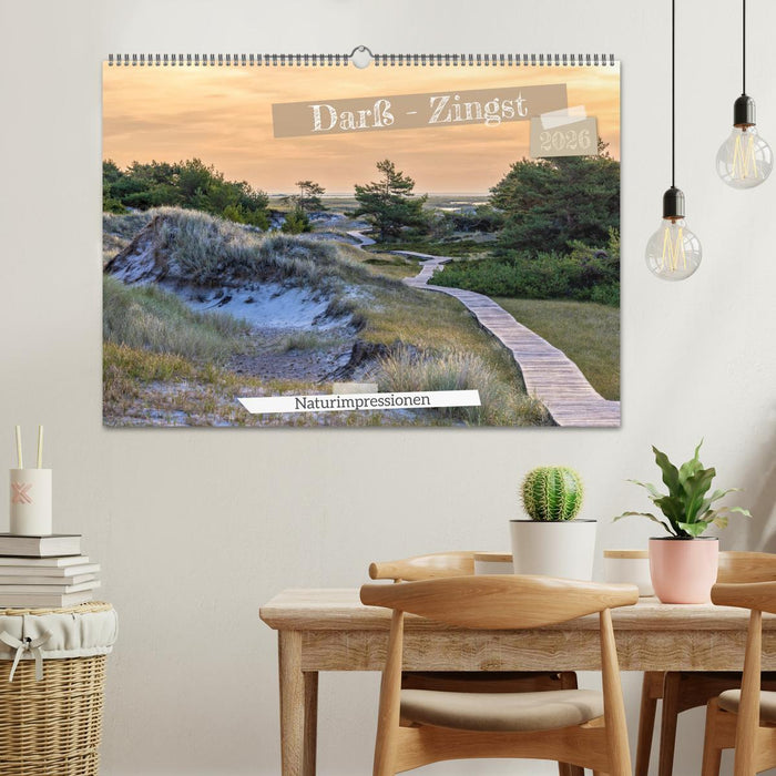 Darß-Zingst Naturimpressionen (CALVENDO Wandkalender 2026)