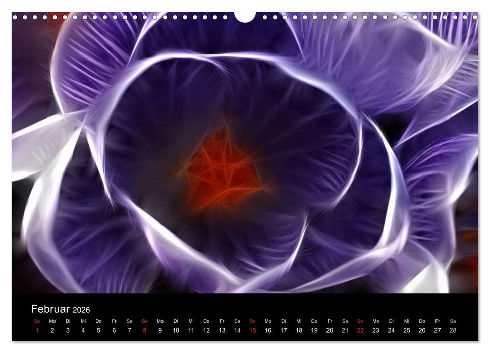 Floral Abstrakt 2026 (CALVENDO Wandkalender 2026)