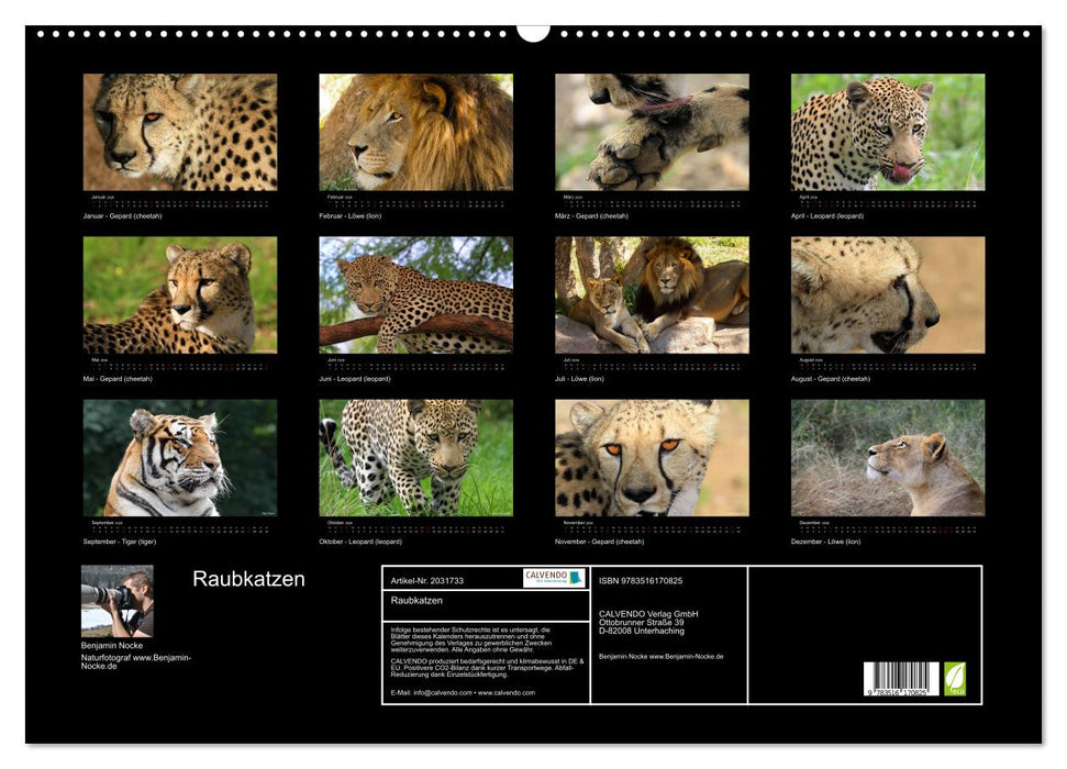 Raubkatzen (CALVENDO Wandkalender 2026)