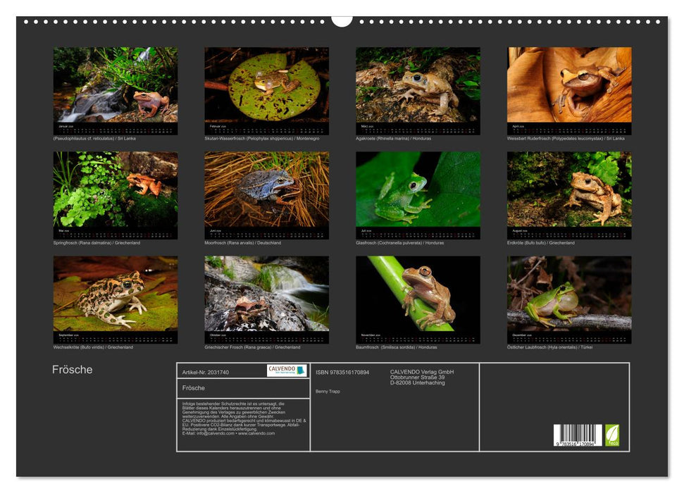 Frösche (CALVENDO Wandkalender 2026)