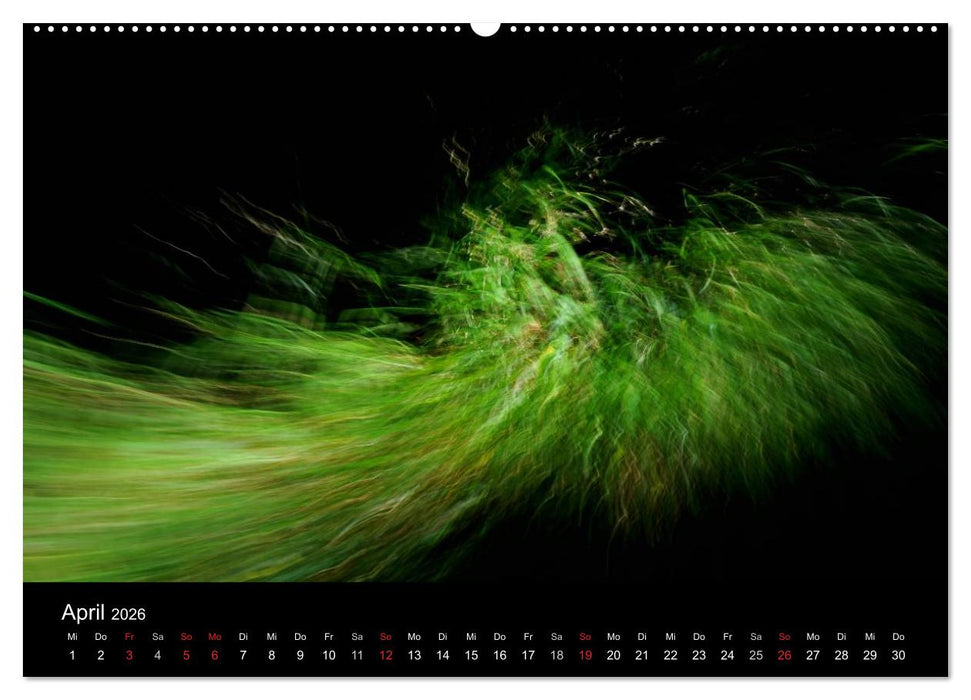 Magischer Wald (CALVENDO Premium Wandkalender 2026)