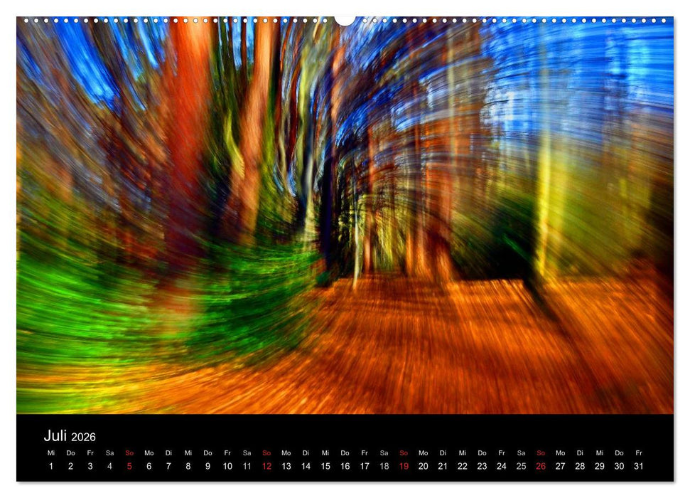 Magischer Wald (CALVENDO Premium Wandkalender 2026)