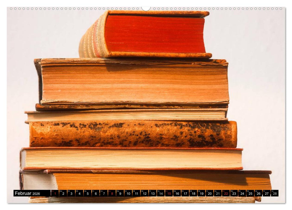 Welt der Bücher (CALVENDO Premium Wandkalender 2026)