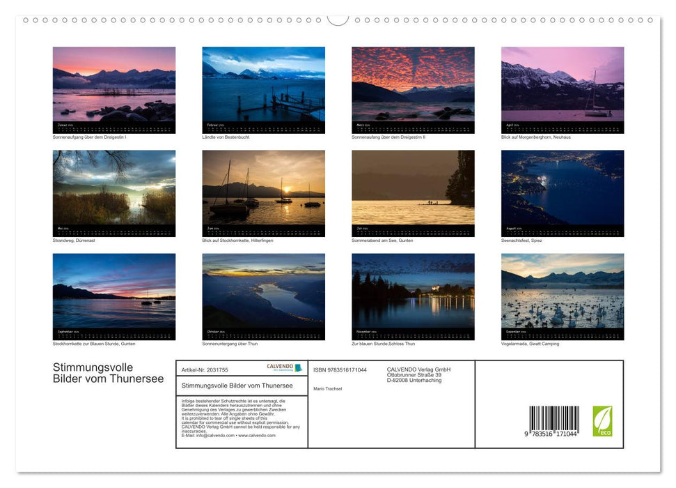 Stimmungsvolle Bilder vom Thunersee (CALVENDO Premium Wandkalender 2026)