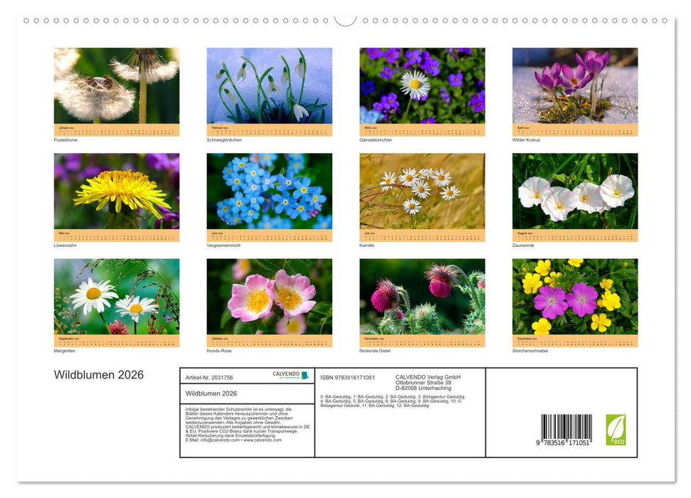 Wildblumen 2026 (CALVENDO Premium Wandkalender 2026)