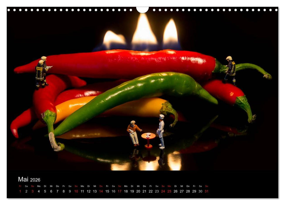 Die wahren Köche (CALVENDO Wandkalender 2026)